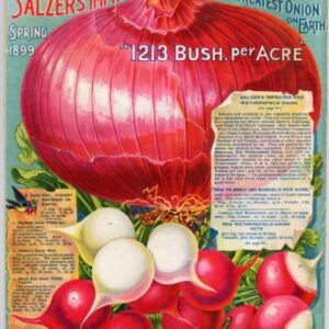 The Connecticut Heirloom Seed Collection